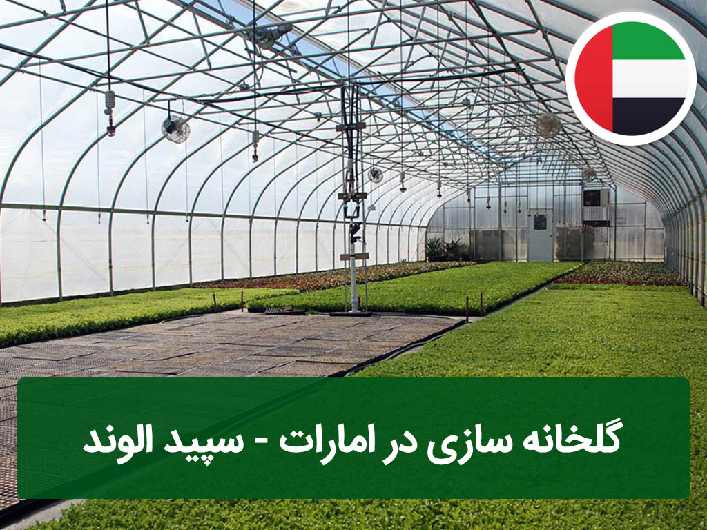 گلخانه سازی در امارات