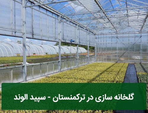 گلخانه سازی در ترکمنستان